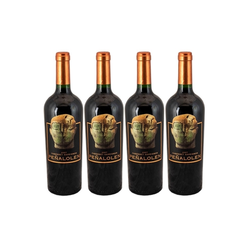 1419 - Penalolen - Vintage 2007 Cabernet Sauvignon ( 4 ) Bottles of Red Wine. Complex Wine with Abundance o... 