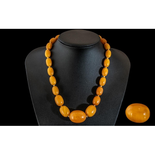 58 - Antique - Excellent Quality Single Strand Graduated Beaded Amber Necklace, Egg - Yolk Colour, Each B... 