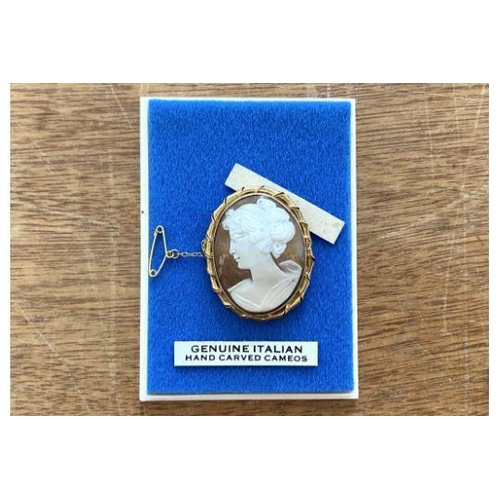 370B - 9ct Gold Cameo Cased In A Clear Plastic Case, Italian made. Approx Size 3 by 2.5 cms. Please See Pho... 