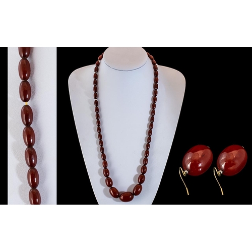 253 - Fine Quality 1920's Graduated Cherry Amber Beaded Long Necklace with Matching Pair of Earrings. Wond... 