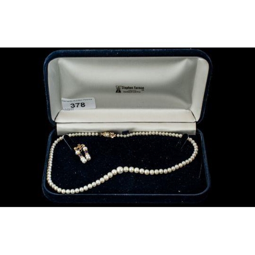 Lot 295A      