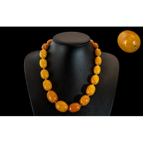 63 - Superb - 1920's Butterscotch Amber Beaded Necklace of Wonderful Quality and Colour. Length 20 Inches... 