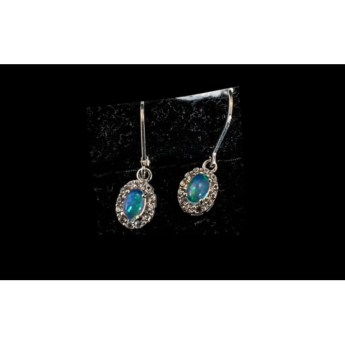 465 - Opal Halo Set Drop Earrings, 1.5cts of oval cut opals, framed with halos of natural white zircons, s... 