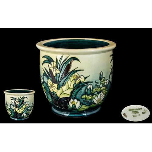 506 - Moorcroft Modern Tube lined Jardiniere ' Lamia ' Design, Bulrushes and Lilies on Pale Yellow Ground.... 