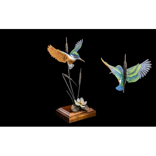 565 - David Fryer -Ex Royal Worcester Artist Superb Porcelain and Bronze Bird Figure of a Kingfisher. Abov... 