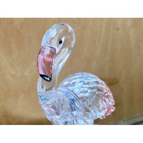 745 - Swarovski Interest. Pink Flamingo. With Box, Certificate and Outer Box. A 7670 NR 000 003. Figure In... 