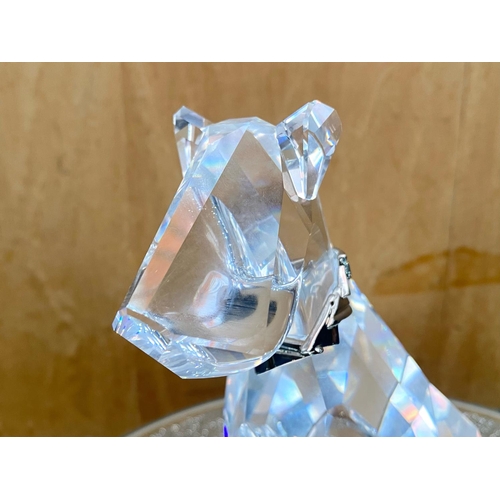 754 - Swarovski Interest. ' Highland Terrier ' In Box and outer Box. A 7685 NR 000 001. Excellent Conditio... 