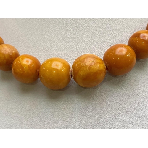 131 - 1920's Fine Quality Butterscotch Amber Beaded Necklace with Gold Tone Clasp. Good Colour and Well Ma... 