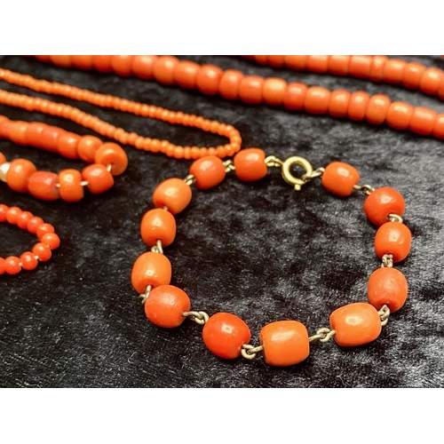 496 - Two Antique Indonesian Red Coral Necklaces, together with associated coral beads.