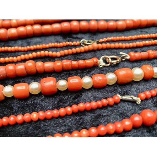 496 - Two Antique Indonesian Red Coral Necklaces, together with associated coral beads.