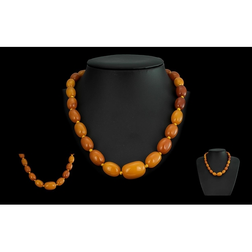 105 - A Superb Quality 1920's Graduated Butterscotch Amber Beaded Necklace, Each Bead Knotted. Weight 29 g... 