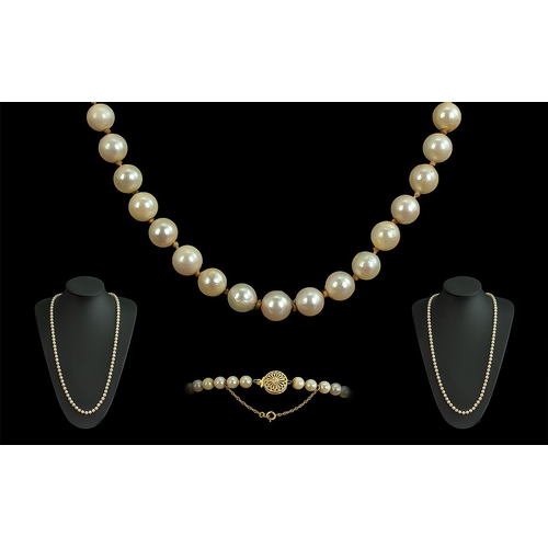 21A - Superb Ladies Quality Single Strand of Fresh Water River Cultivated Pearls, with 14ct gold clasp, ma... 