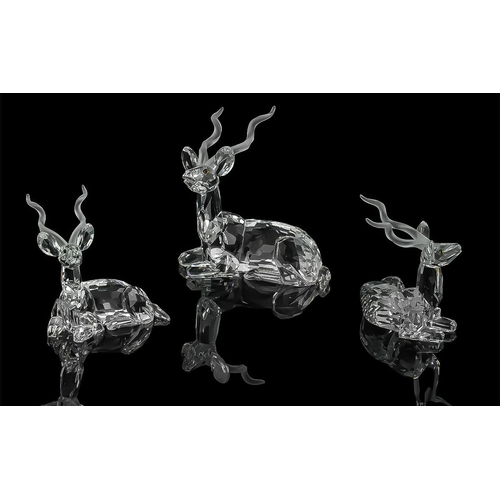 770 - Swarovski 'Inspiration Africa' The Kudu.  the trilogy of 'Inspiration Africa'.  He is made from clea... 