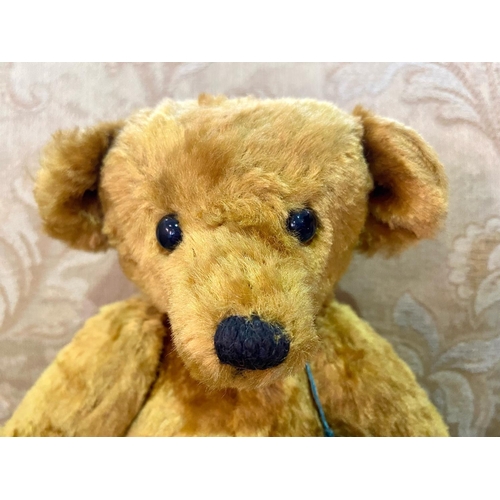 1555 - Susan Jane Teddy Bear, plush fabric, moveable limbs, hump back, measures 10'' tall. Limited edition ... 