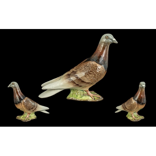 549 - Beswick Hand Painted Bird Figure ' Pigeon ' Model No 1383. Designer Mr Orwell. Issued 1955 - 1972. H... 