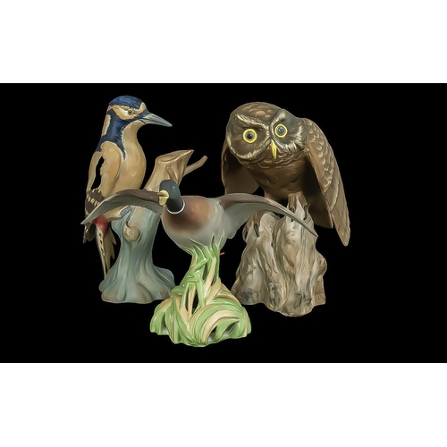 587 - Three Spode Porcelain Bird Figurines, comprising a Spode Greater Spotted Woodpecker, 9'' tall, a Spo... 