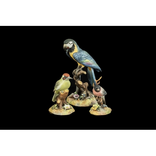 590 - Three Royal Crown Derby Bird Figurines, comprising Macaw, measures 10'' tall, Green Woodpecker measu... 