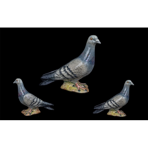 616 - Beswick Hand Painted Bird Figure ' Pigeon ' First Version. Model No 1383A. Issued 1955 - 1972. Desig... 