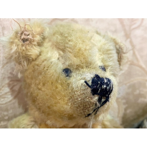 1568 - Norbeary Teddy Bear.  Norbeary Teddy Bear with original tags and labels.  Padded paws. Approx  9'' t... 