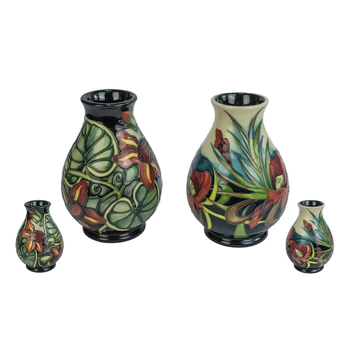 568 - A Fine Modern Pair of Moorcroft Tube lined Vases, Both of Globular Form ' Anemone ' Tribute. Anemone... 