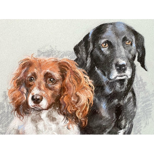 956 - Susan Maud (British 20th Century) Quality Double Canine Portrait depicting a Springer Spaniel and La... 