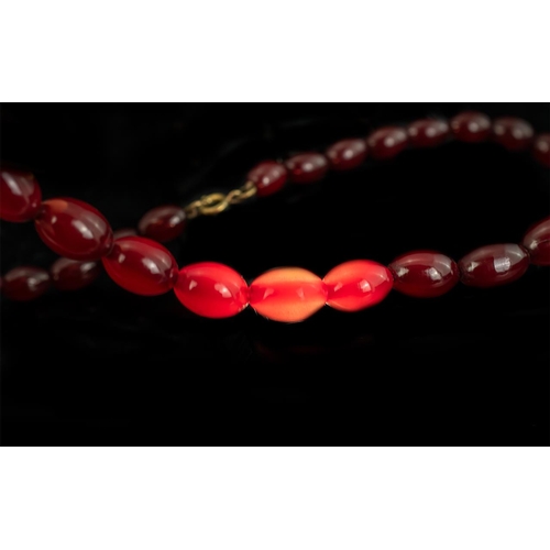 128 - 1920s Excellent Quality Pair of Cherry Amber Graduated Beaded Necklaces of Excellent Colour, total w... 