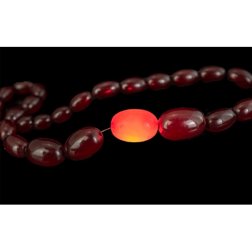 128 - 1920s Excellent Quality Pair of Cherry Amber Graduated Beaded Necklaces of Excellent Colour, total w... 