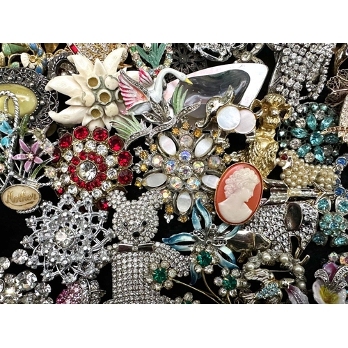 428 - Large Collection of Vintage Brooches. Large Collection of Brooches, Many Designs, Mostly Stone Set.