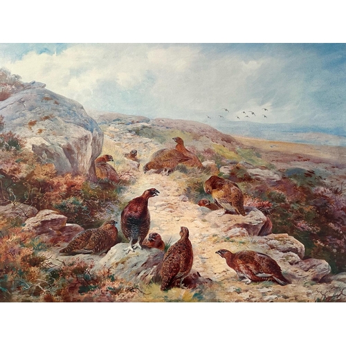 924 - Archibald Thorburn (British 1860-1935) - red grouse in a moorland landscape.  Limited edition colour... 