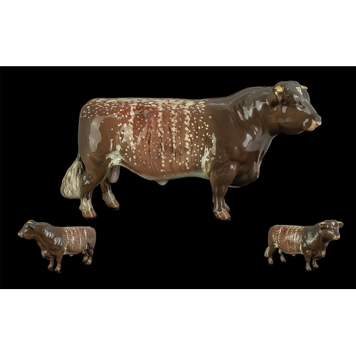 502 - Beswick Hand Painted Farm Animal Figure ' Dairy Shorthorn Bull ' CH - Gwersylt Lord Oxford 74th. Mod... 