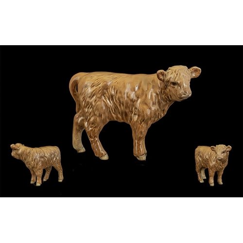 511 - Beswick Hand Painted Farm Animal Figure ' Highland Calf ' Model No 1827. Designer A. Gredington. Iss... 