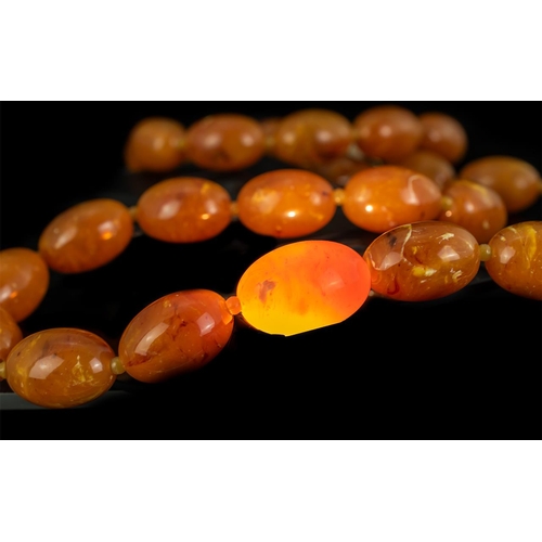 230A - Quality Butterscotch Amber Coloured Beaded Necklace of wonderful colour - see photo, weight 151.4g, ... 