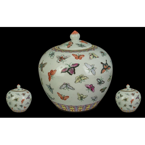 801 - Chinese Hand Painted Porcelain Butterfly Lidded Jar with Tongzi Mark. c.1900. Decorated to Body and ... 