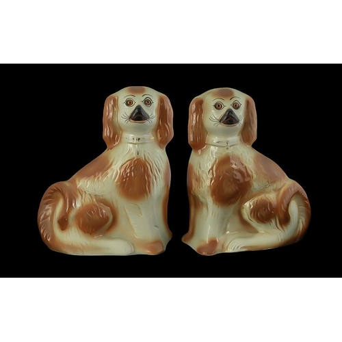 719 - Pair Of Staffordshire Flat Back Spaniels, Height 12½ Inches