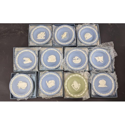 642 - Collection of Wedgwood Round Trays, eleven in total, all boxed, including Frilled Neck Lizard, Womba... 