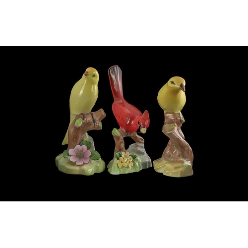 659 - Three Vintage Raybur Staffordshire Bone China Tropical Bird Figures, a yellow canary, a red Cardinal... 