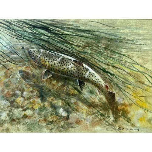 922 - Robin Armstrong (British - Born 1947), original watercolour of Salmon Swimming up Stream.  Image mea... 