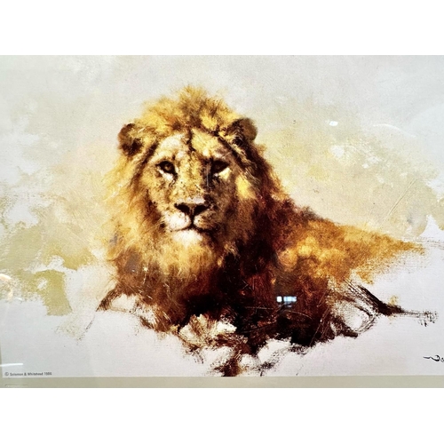 976 - David Shepherd - Set of Four Signed Limited Edition Prints, including Lion's Head, Tiger's Head, Lio... 