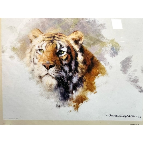 976 - David Shepherd - Set of Four Signed Limited Edition Prints, including Lion's Head, Tiger's Head, Lio... 