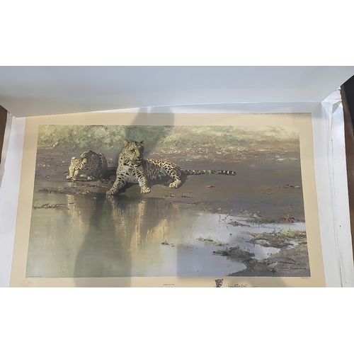 983 - Three David Shepherd Loose Prints, including 'Indian Siesta' No. 443/1300, 'Cool Waters' No. 596/850... 