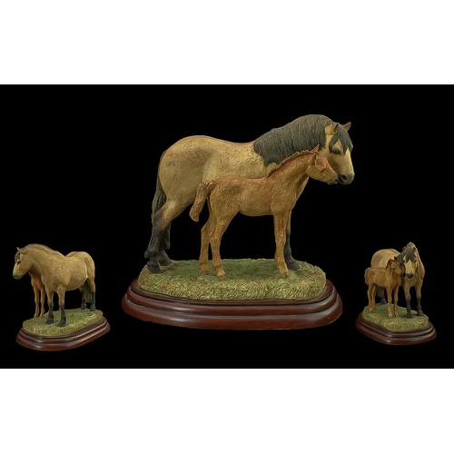 699 - Border Fine Arts Figural Scene - Horse Breeds 'Highland Mare & Foal' A2691.   In original box.