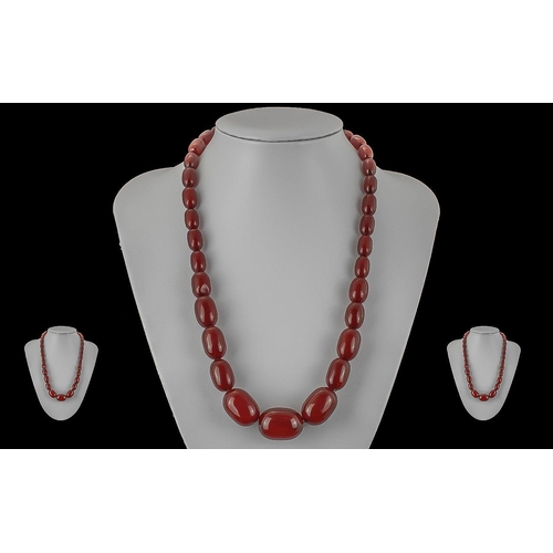 95A - Early 20th Century Fine Cherry Amber Graduated Beaded Necklace of Excellent Colour, Weight 55.4 gram... 