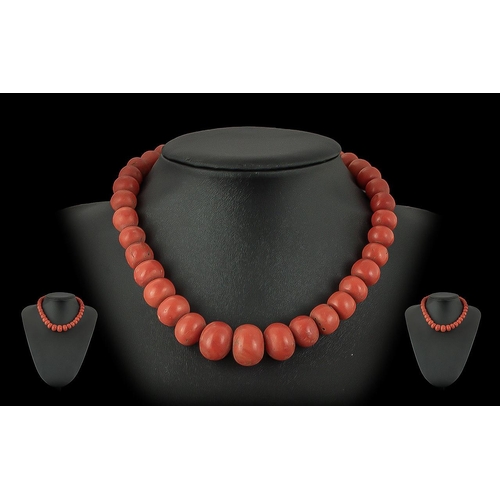 141 - An Early 20th Century Graduated Beaded Coral Necklace with Matched and Good Colour, With Rose Gold C... 