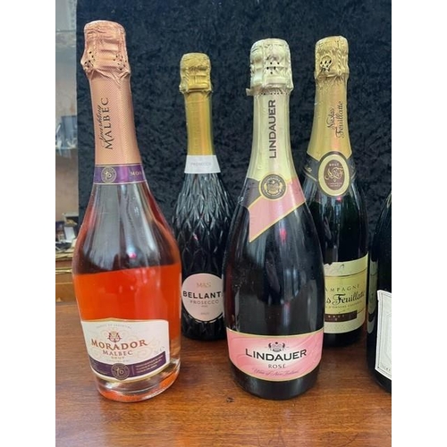 1434 - Mixed Lot of Champagne & Prosecco, comprising Louis Delaunay Champagne & Louis Delaunay Rose Champag... 