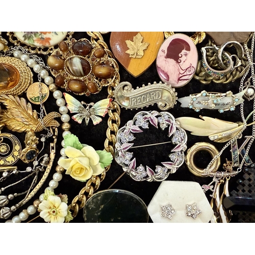 480 - Collection of Costume Jewellery, comprising pearls, beads, chains, brooches, earrings, pendants, ban... 