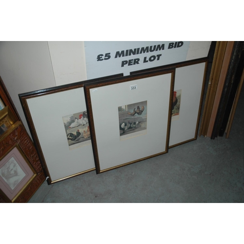 333 - 3 framed farmyard prints