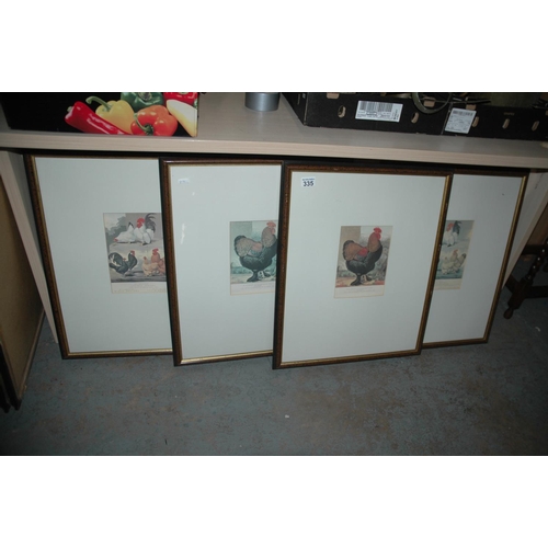 335 - 4 framed chicken prints