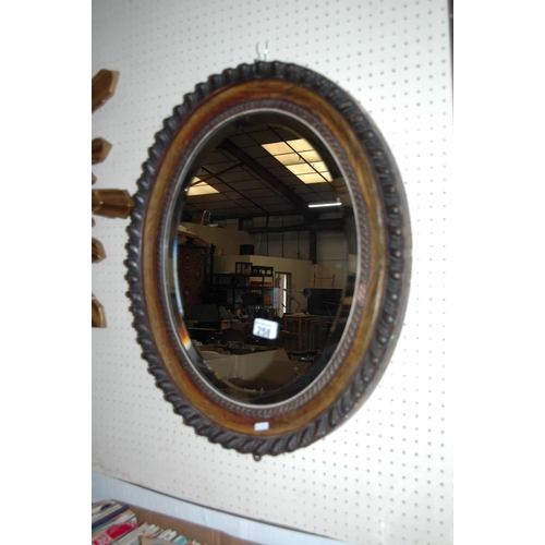 258 - Oval mirror