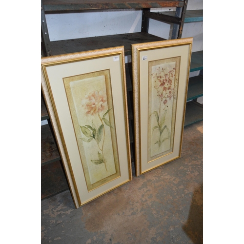 231 - Pair of large framed prints