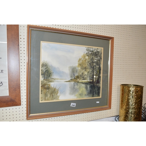 245 - Framed picture